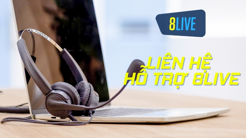 Dịch vụ hỗ trợ chuyên nghiệp hoạt động 24/7